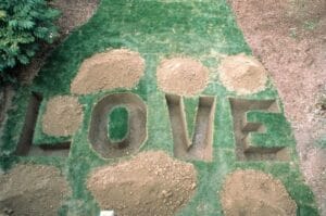 Love Grave, 2003, Installation from the exhibition Forefront, Indianapolis Museum of Art