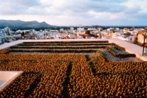 Cactus Painting 4a, 1998, Site-specifec project in the Roman theater in Sagunto, Spain, AMER 1998