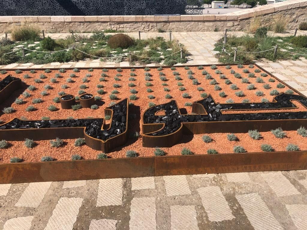 woman's voice details